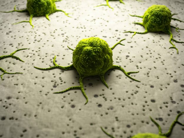 Virus
